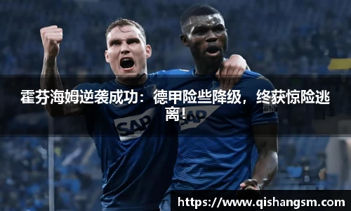霍芬海姆逆袭成功：德甲险些降级，终获惊险逃离！