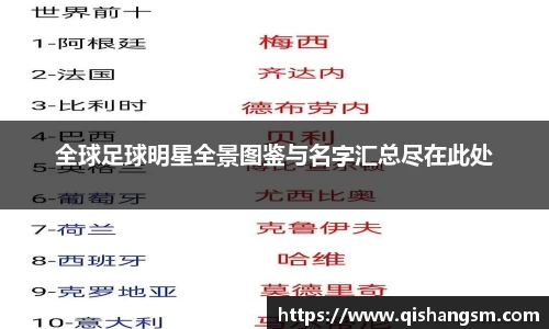 全球足球明星全景图鉴与名字汇总尽在此处